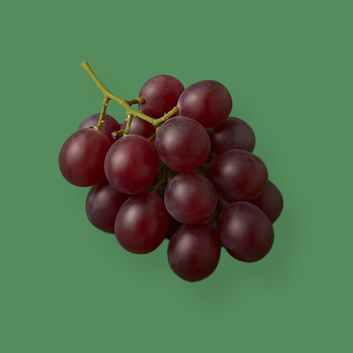 Grape Seed Extract