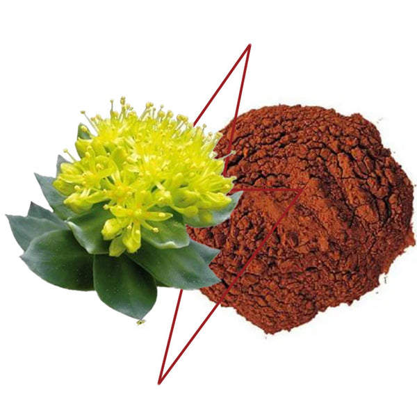 Beta-Alanine, Rhodiola Rosea + Pine Bark Extract